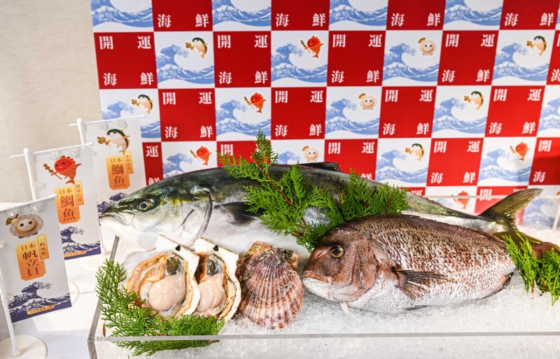 ▲日本食品海外推廣協會（JFOODO）引進3大開運魚，帆立貝、鯛魚、鰤魚空運抵台。（圖／JFOODO提供）