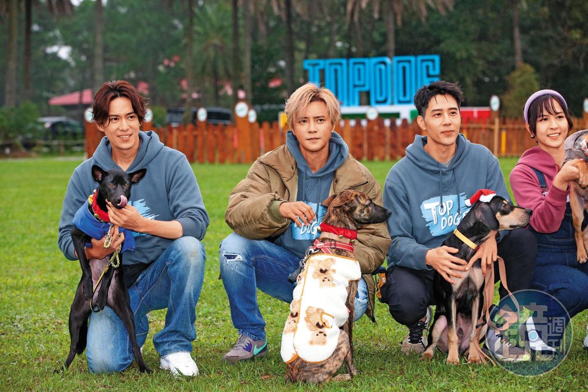 陳楚河（左起）跟羅志祥、胡宇威、魏蔓一同參加寵物實境秀《TOP DOG》，由藝人擔任中途爸媽角色，為浪浪找家。
