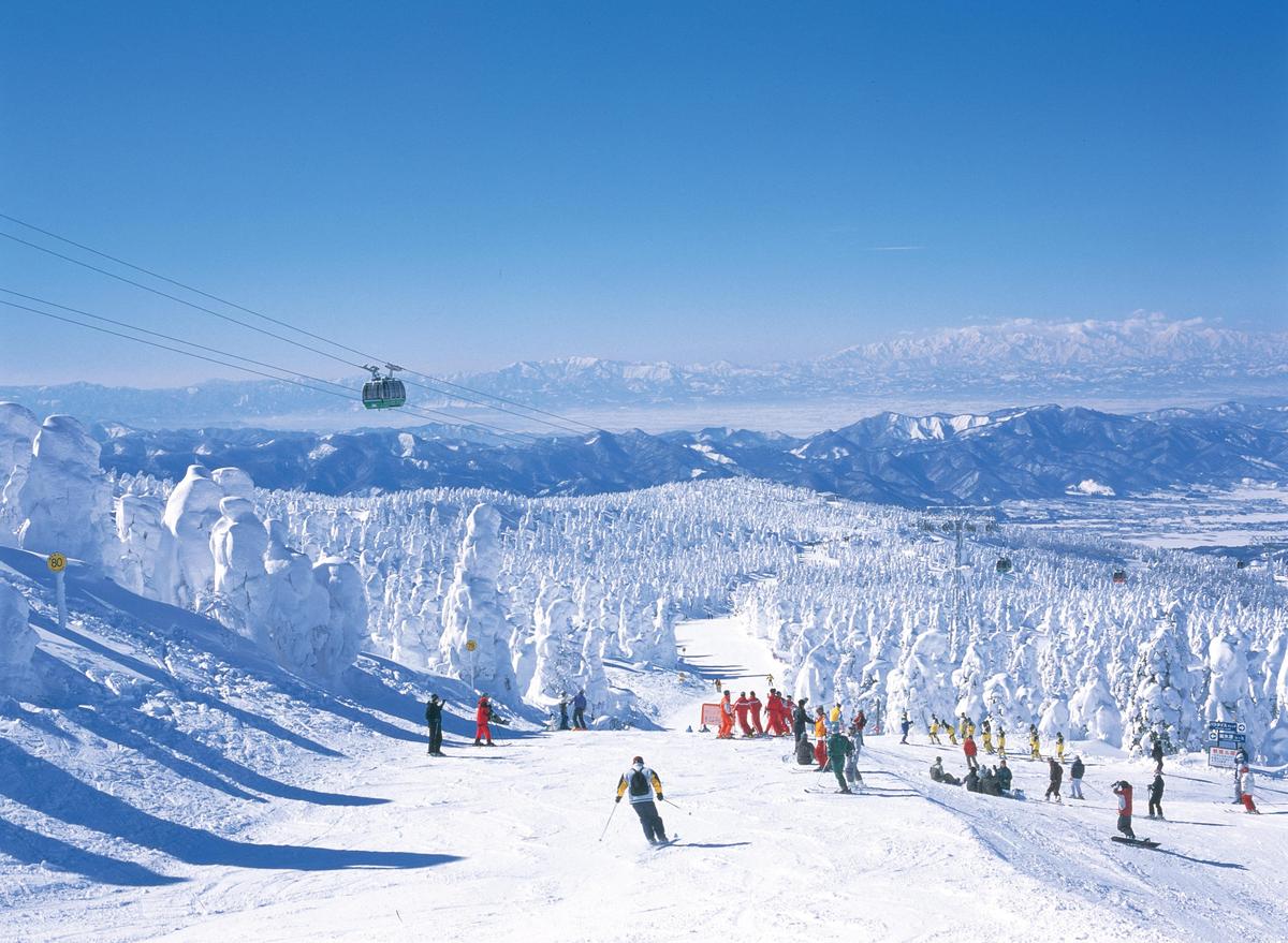 「藏王樹冰」是冬季限定的山形美景，每年冬日吸引大批遊客慕名而來。 （星宇航空提供）