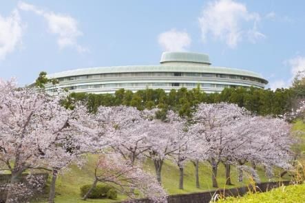 ▲飯店步程5分鐘可抵達寶池公園，公園內種植六百多棵櫻花樹。（圖／Booking.com提供）