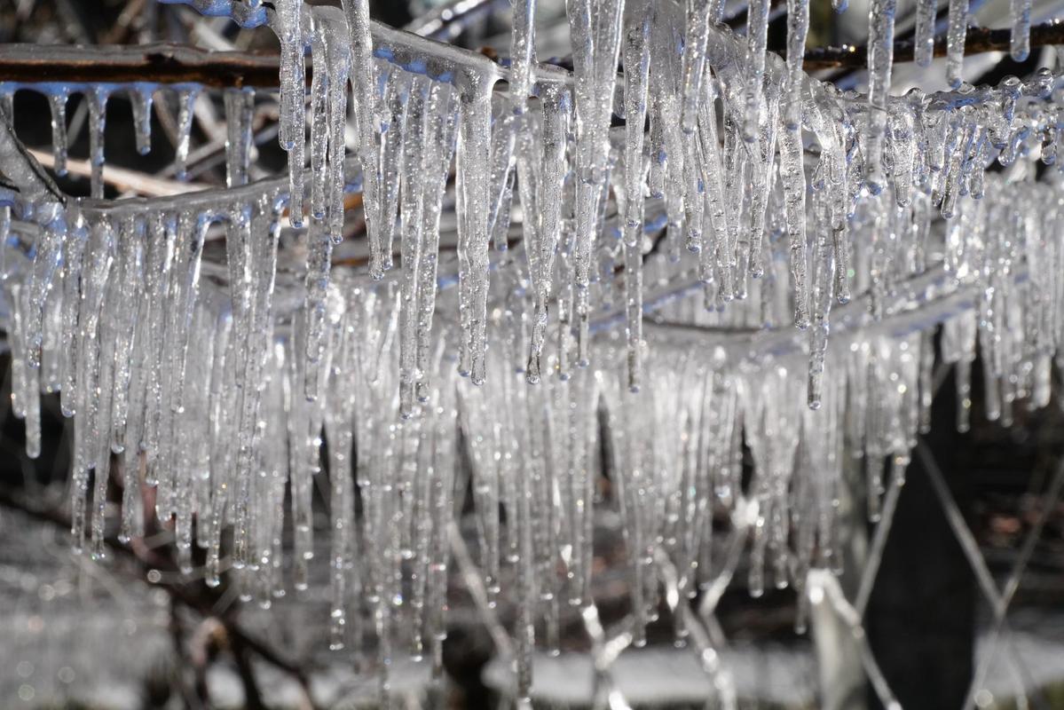 網友看到「藤花園冰柱」，紛紛直呼「好美的水晶吊燈」。（翻攝自武陵農場 Wuling Farm臉書）