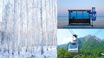 【韓國旅遊】江原道旅遊攻略：BTS公車站、《鬼怪》拍攝地、雪地美景等一次網羅！