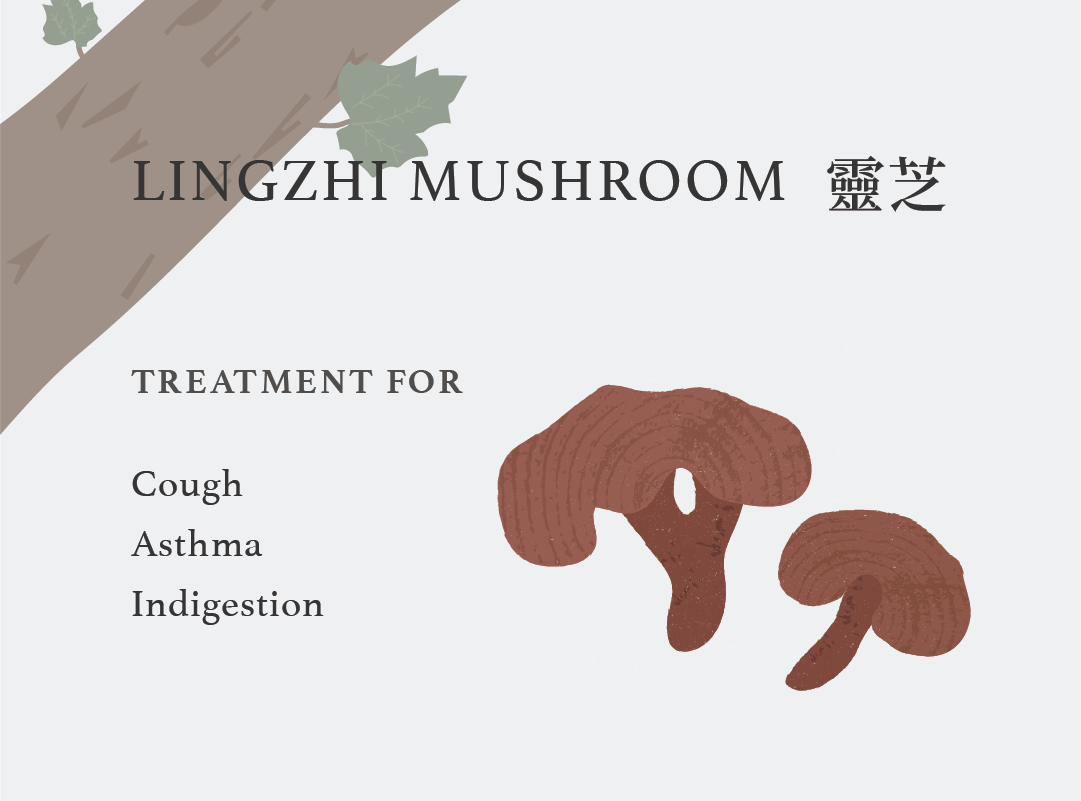 lingzhi_mushroom