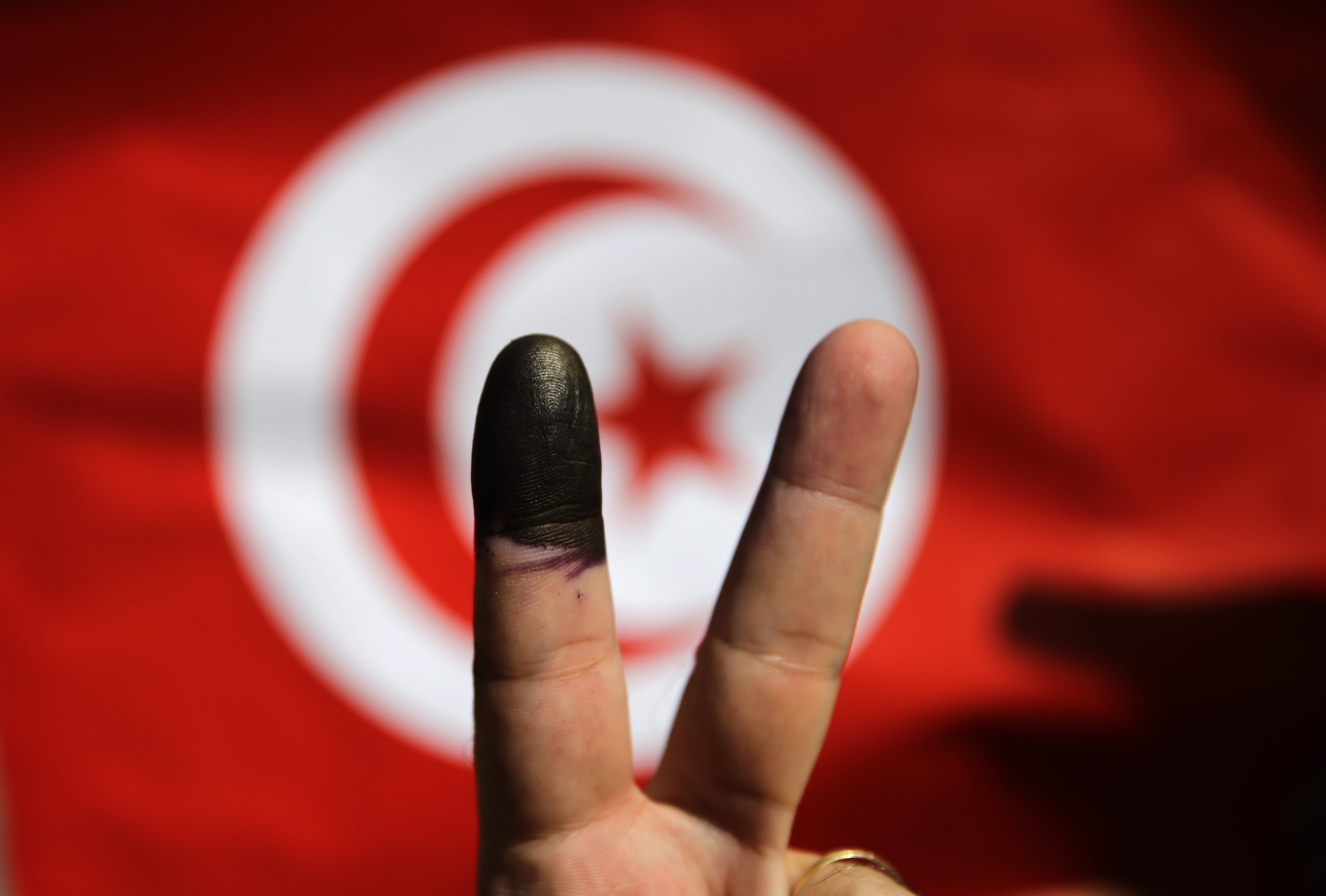 Mideast Egypt Tunisia Elections