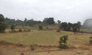 Grasslands_of_Madhya_pradesh,_India___