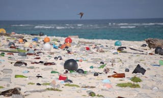 Beach_strewn_with_plastic_debris_(808050