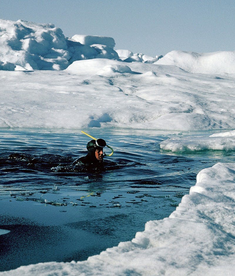 Roy ‘Fritz’ Koerner donned a wet suit to measure the underside of floes. His detailed study of the arctic ice during the journey was instrumental in subsequent climate change discussions.