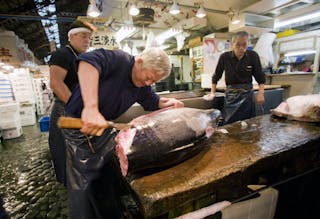 日本_漁市_Early Morning at the Tsukiji Fish Market
