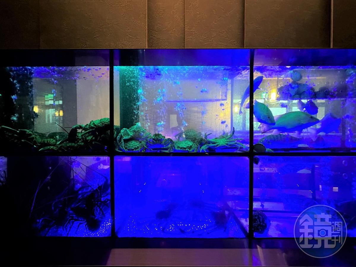 餐廳入口處設置長3公尺的水族缸，讓客人一覽今天有哪些活體海鮮。