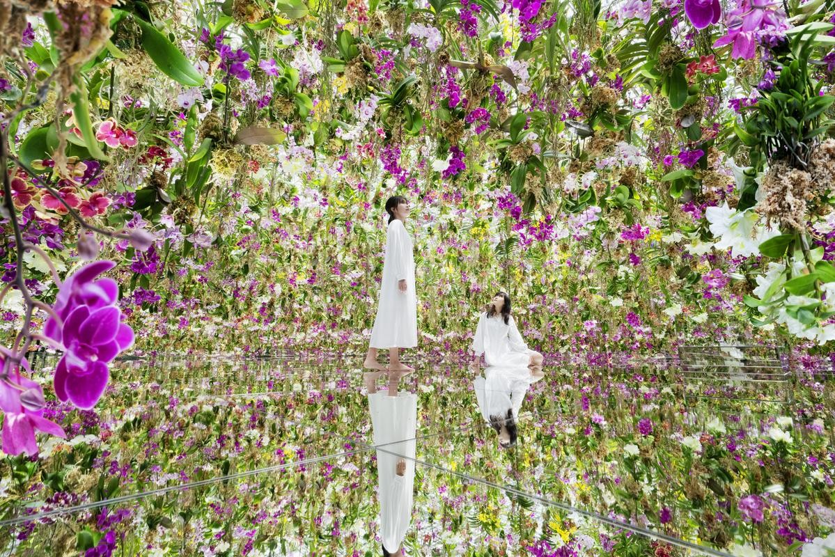 「漂浮的花園」 是由超過8,000朵蘭花構建而成的互動花園。（teamLab提供）