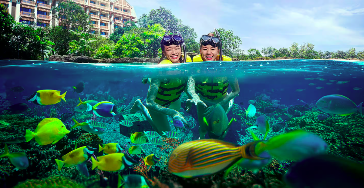 水樂園也能浮潛，潛進「彩虹礁遊」中與2萬條熱帶魚共游。（新加坡聖淘沙名勝世界提供）