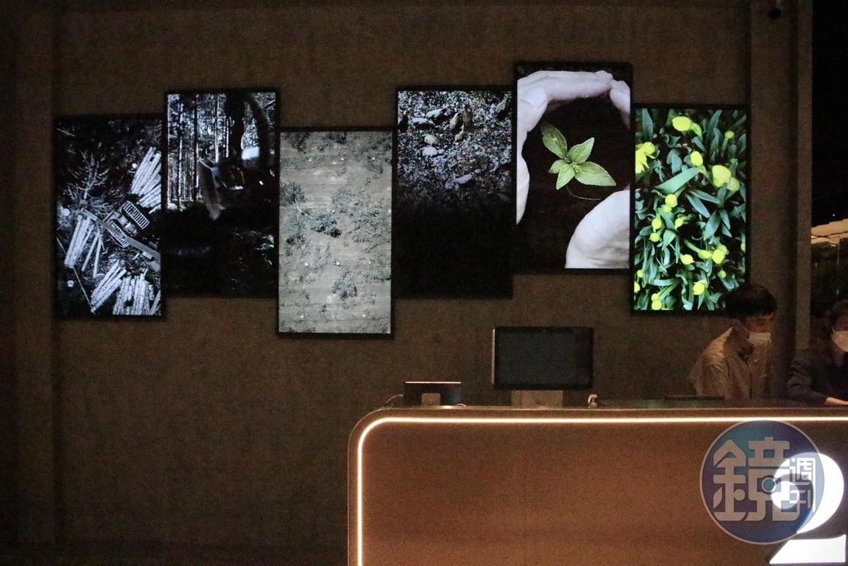 入口處由6個電視拼成的螢幕牆，反覆展示著人類與自然環境的關係。 
