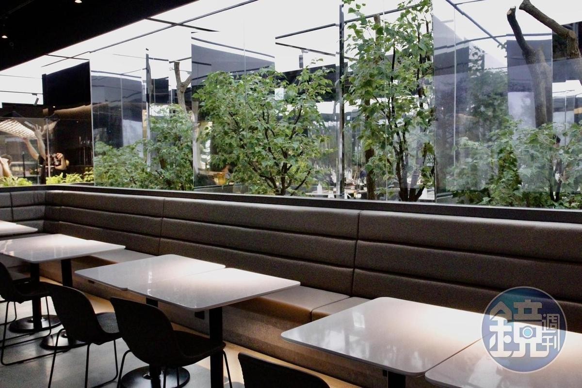 座位區中間是數株綠意滿滿的小樹，讓人在室內吹冷氣也能感受戶外用餐的氛圍。
