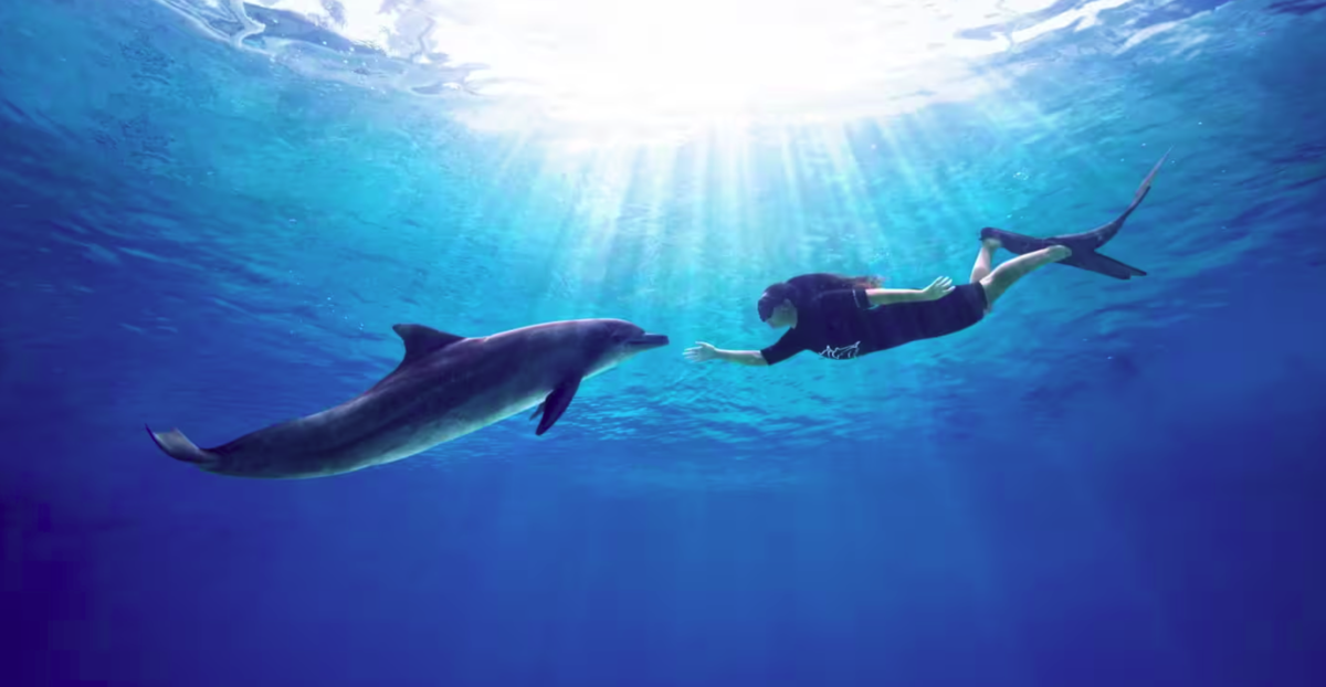 「海豚伴游」也可以選擇和海豚一起在水中悠遊。（新加坡聖淘沙名勝世界提供）