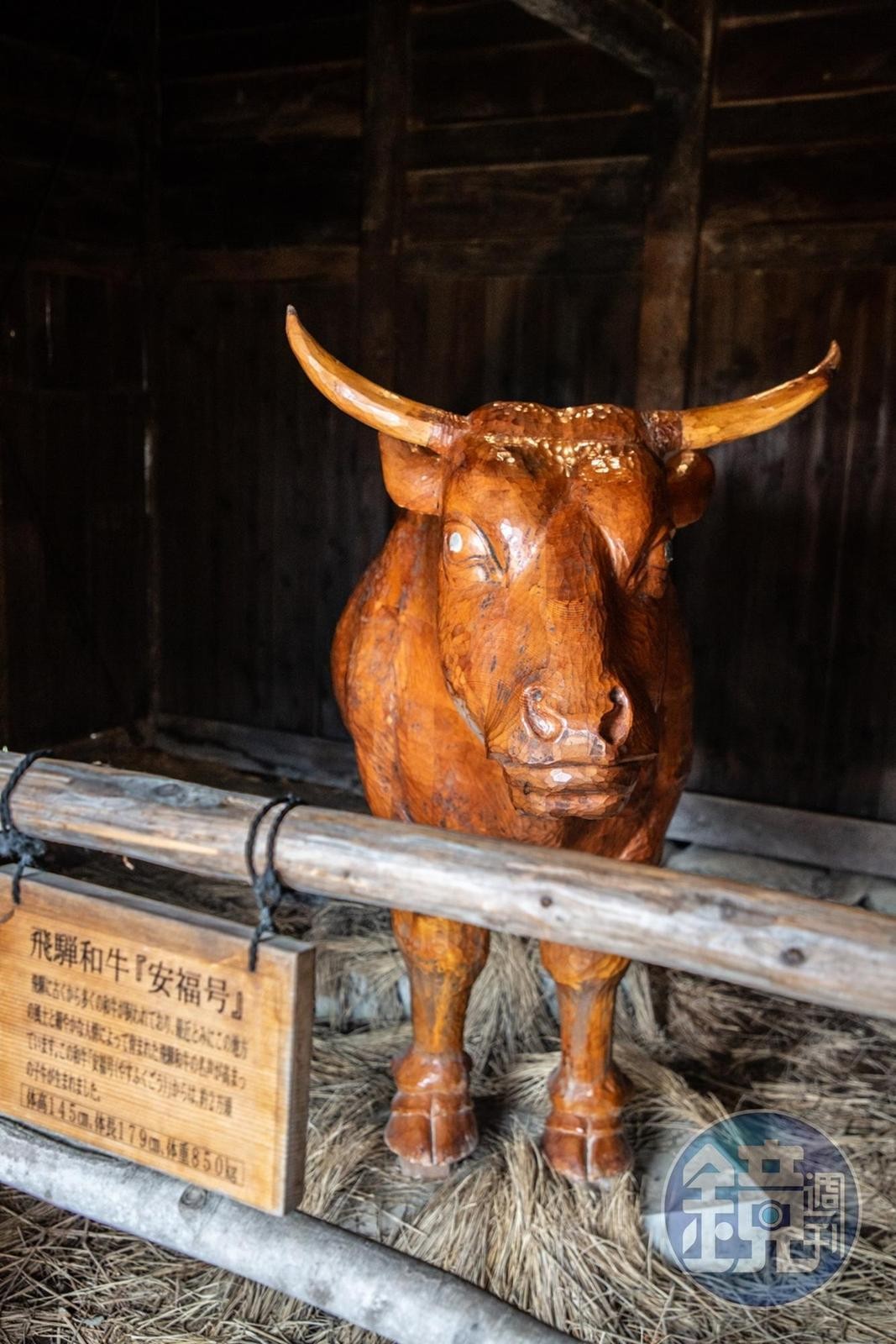 令飛驒牛品種更加優化的安福牛，當地還建了塑像紀念。