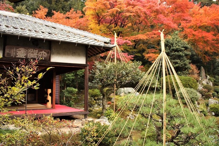 ▲米原市青岸寺。　圖：琵琶湖・近江路觀光圈活性化協議會／提供