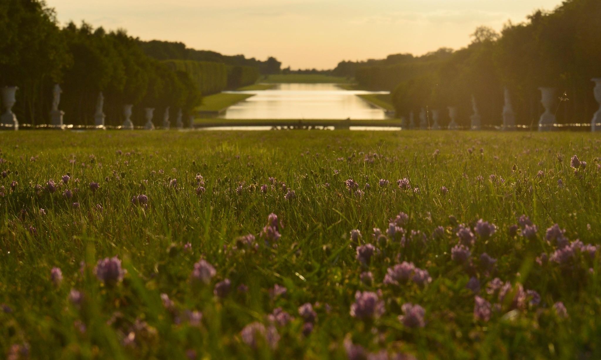 種植數百種用於製造香水的植物：在凡爾賽宮擁有一座「調香師花園」是