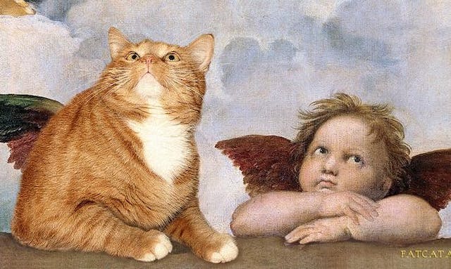 只有偉大的藝術家才能欣賞牠慷慨的身體和崇高的靈魂：胖橘貓Zarathustra