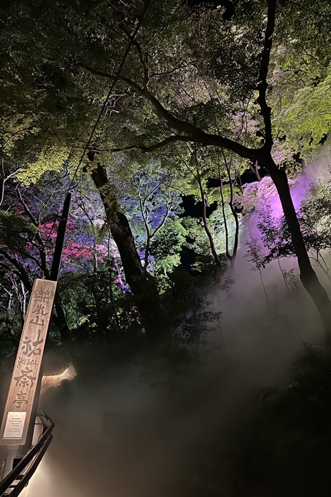 ▲晚上到訪設施，則能欣賞「京都嵐山雲海露台」搭配夜間點燈的夢幻演出。　圖：染工房夢祐斎／來源