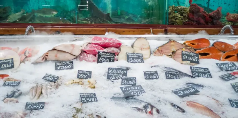 ▲譚敦慈解釋，現在冷凍技術純熟，魚一撈起即急速冷凍，最能保留其新鮮度。（圖／Pexels）