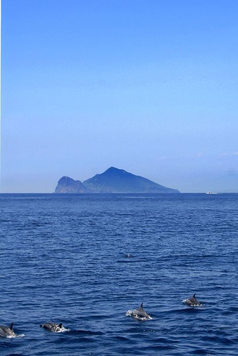 ▲龜山島周邊是賞豚鯨的絕佳地點。　圖：交通部觀光署東北角暨宜蘭海岸國家風景區管理處／提供