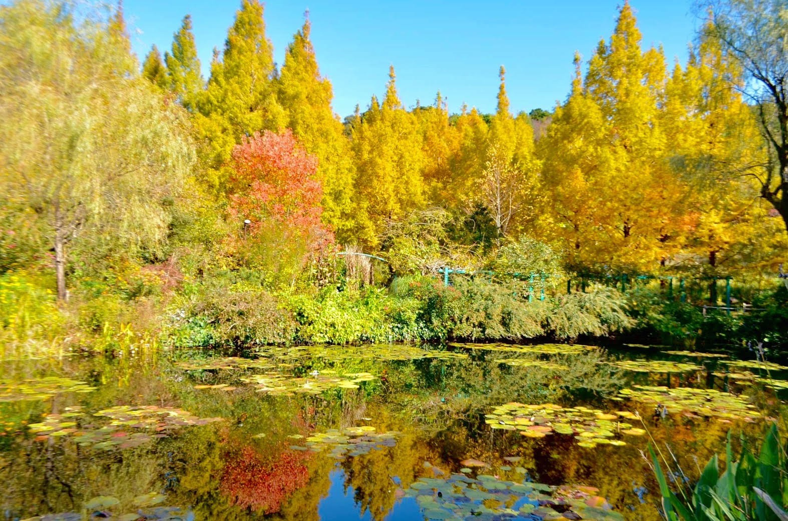 北川村莫內庭園馬摩丹是全球唯一獲得法國吉維尼認可的海外莫內花園。