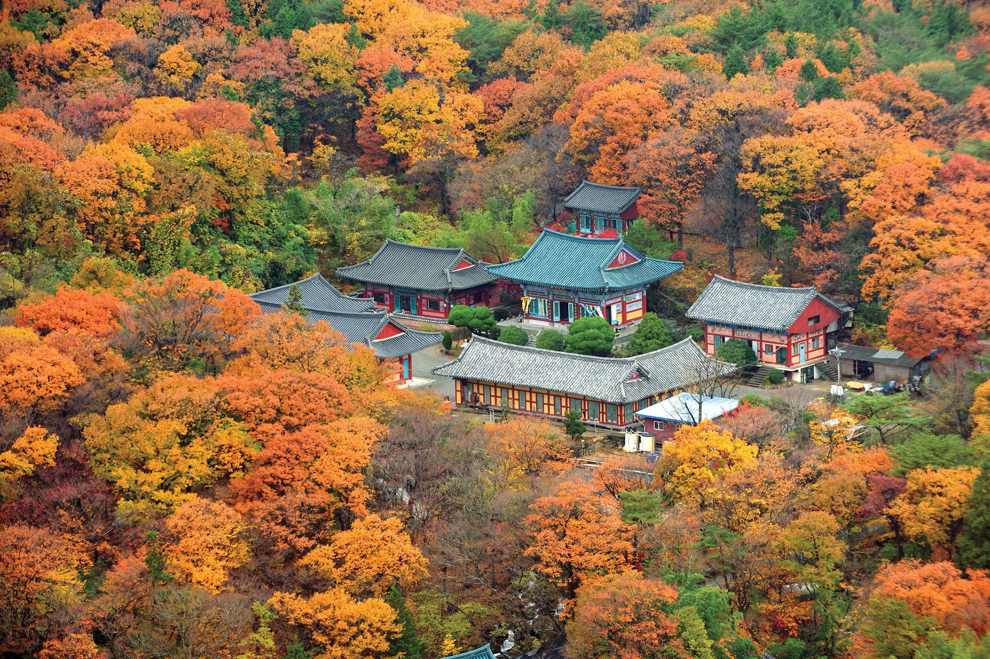 身為嶺南三大寺廟之一的梵魚寺，是釜山最著名的賞楓勝地。（韓國觀光公社提供）