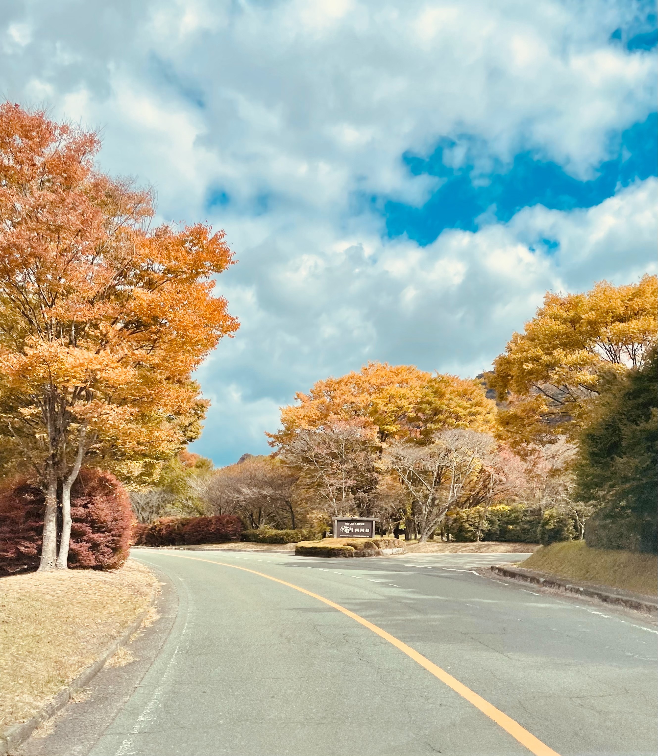 九州熊本的「阿蘇」楓紅情形。（世邦旅遊提供）