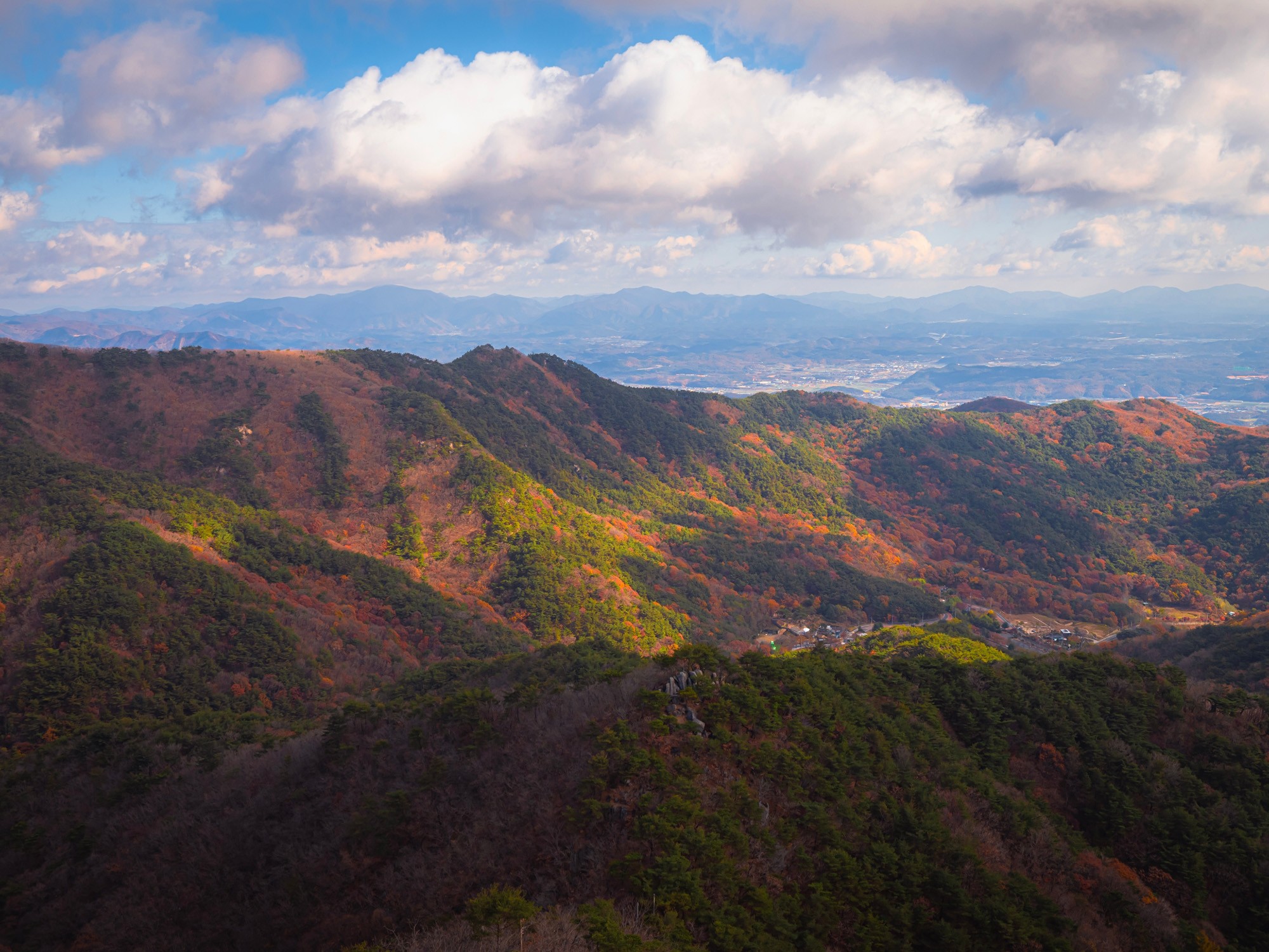 位於大邱廣域市近郊的八公山，每年秋季整座山頭就像披上了一層色彩鮮豔的紅黃地毯，美不勝收。（韓國觀光公社提供）