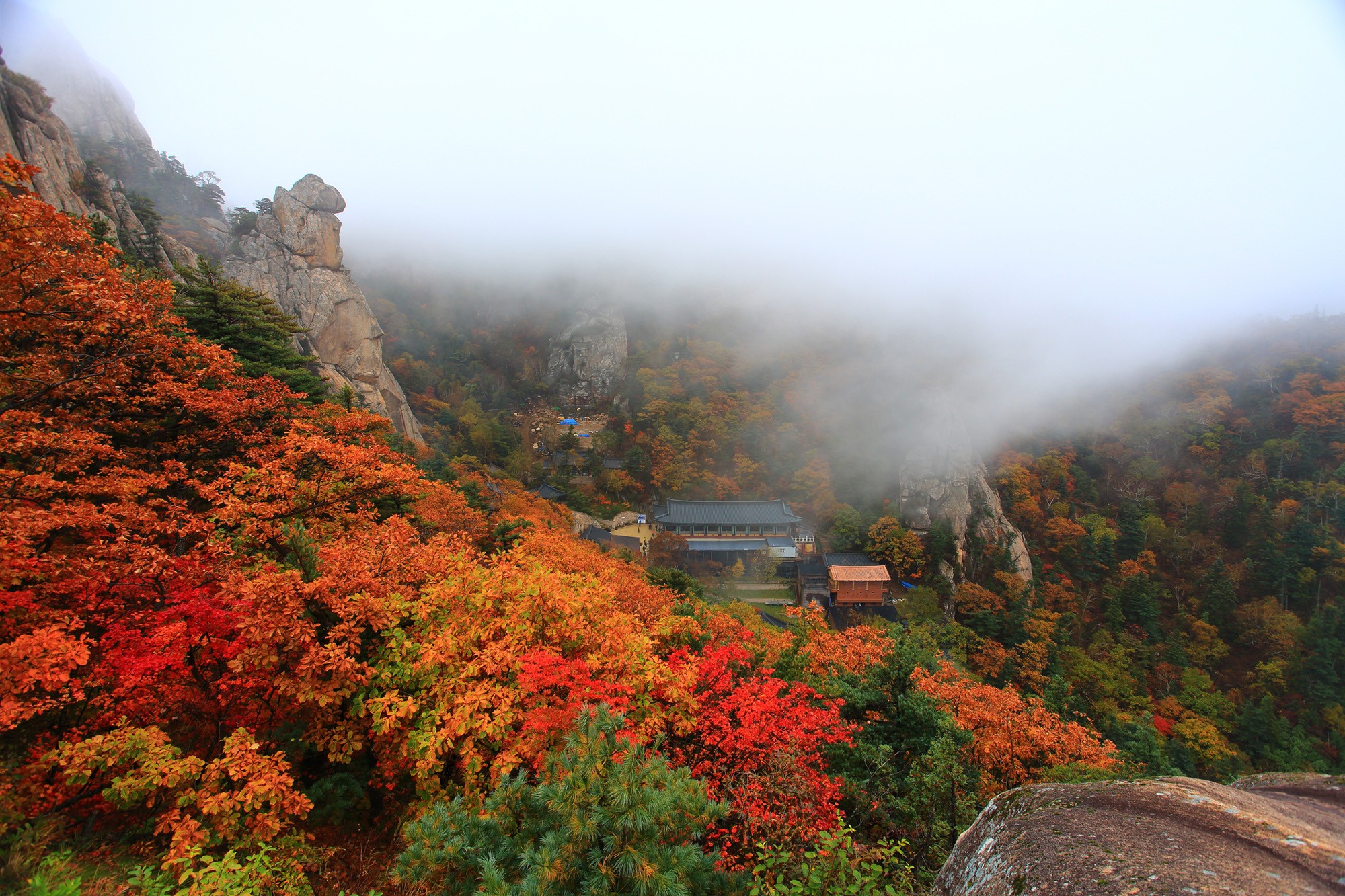 秋天降臨的雪嶽山，被滿開紅葉的絕景包圍。（韓國觀光公社提供）