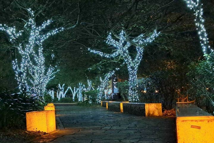 ▲樹上也布置上美麗的燈飾，為冬夜點燃溫馨氣氛。　圖：礁溪鄉公所／提供