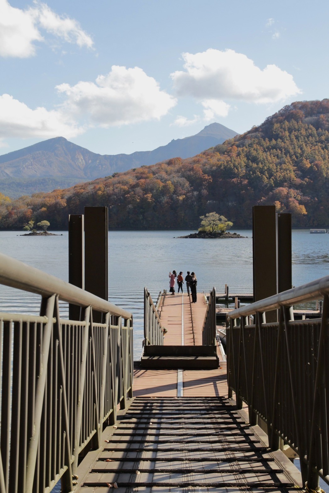 可以穿過棧橋更靠近湖面，遠看毛茸茸的山頭與平靜湖水。