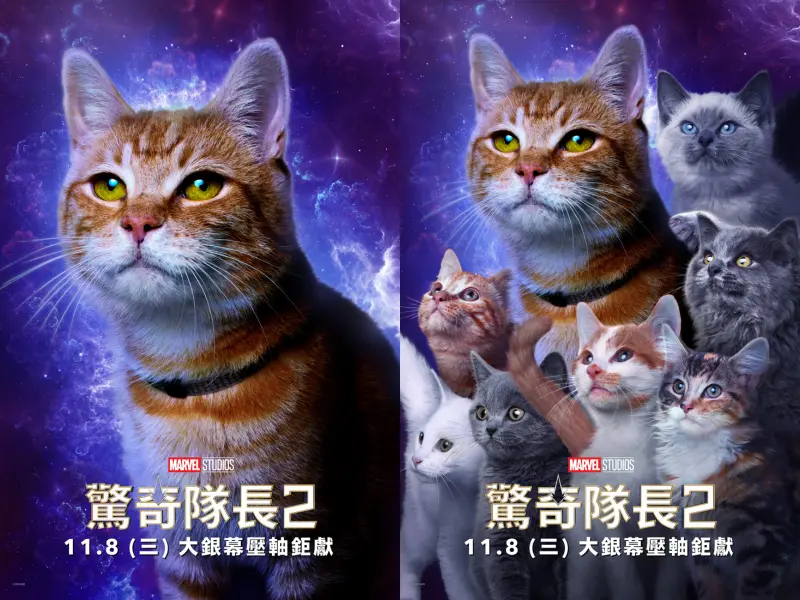 ▲《驚奇隊長2》外星橘貓「呆頭鵝」（左圖）及貓咪大軍角色海報亮相。（圖／迪士尼）