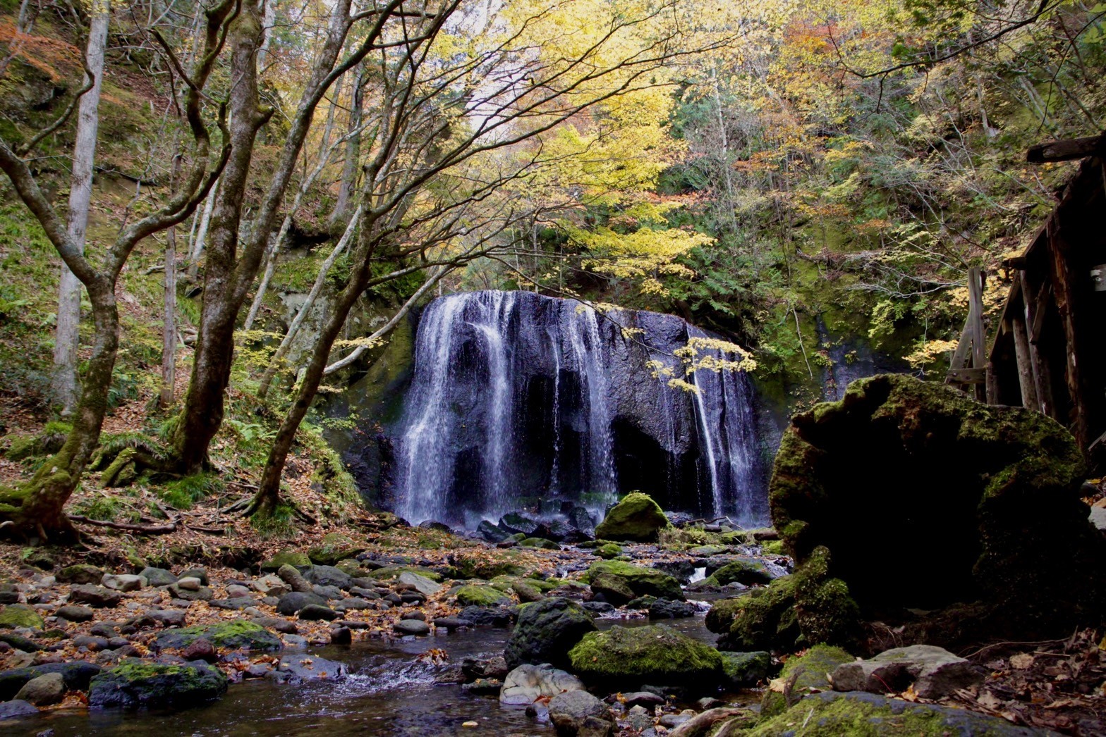 不同季節各有不同美麗樣貌的達澤不動瀑布，是許多攝影愛好者熱愛的景點。