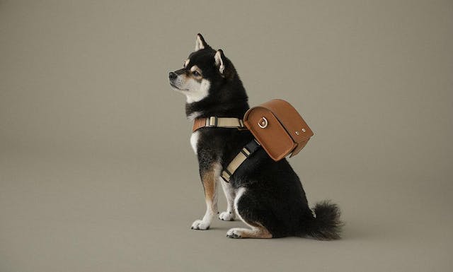 自己的包包自己背：「土屋鞄製造所」推出頂級寵物皮件——知己書包