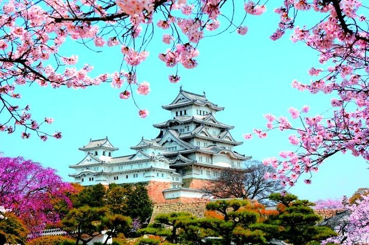 ▲2024 郵輪自由行走訪神戶。　圖：Shutterstock／來源