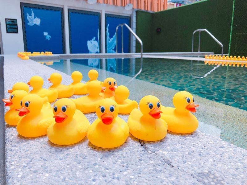 位於一樓的戶外露天風呂是熱門打卡景點，布滿黃色小鴨的療癒小鴨鴨池。（捷絲旅宜蘭礁溪館提供）