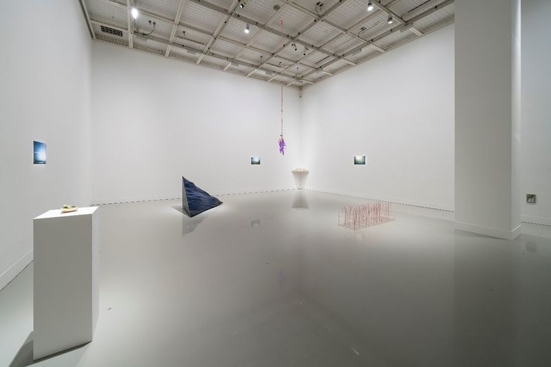 「資生堂藝廊」在2023年年底舉行「第八次椿會（Tsubakikai 8）」《這個新世界“就是、現在、這裡”》，並展示藝術家之作品。（攝影：加藤健）