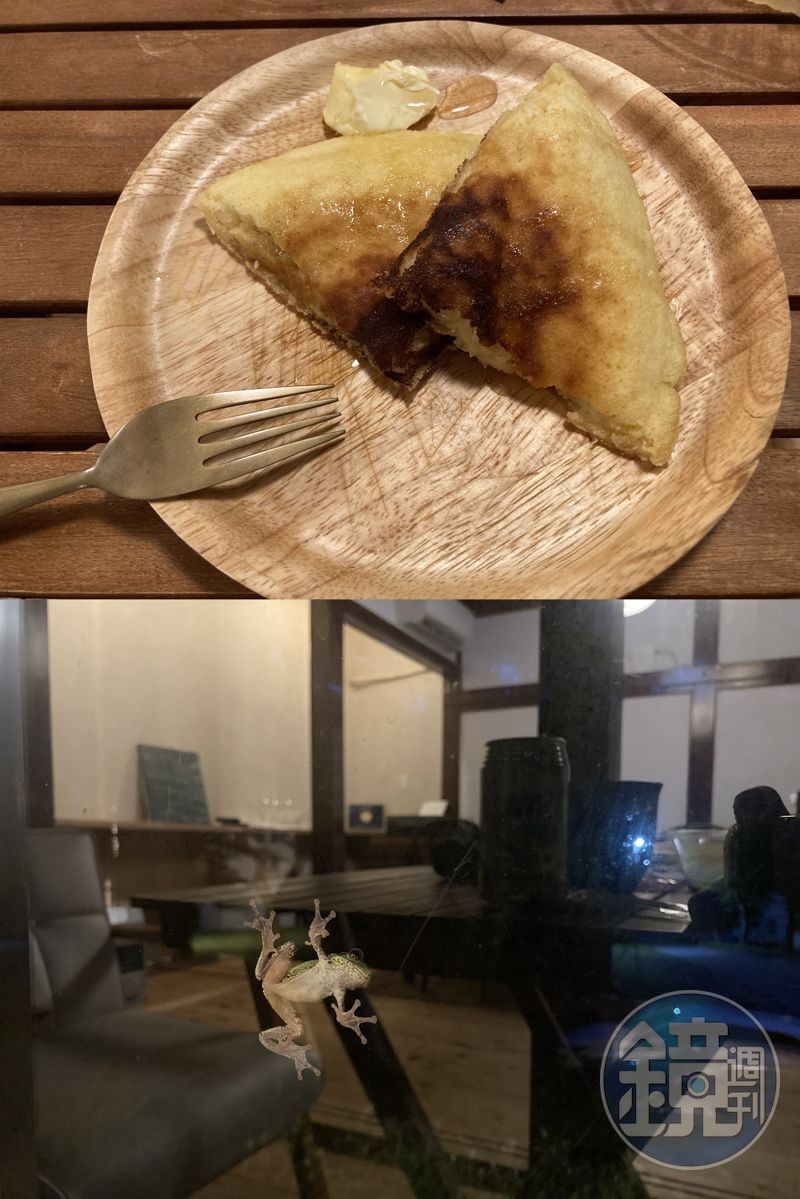 晚上回到住處，邊吃屋主做的鬆餅，邊看窗外青蛙吃蚊子，Discovery生動上演中。