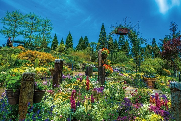 ▲走進花園美術館比叡就彷彿走進畫中，庭園的設計優美精緻。　圖：向日遊顧問有限公司／提供