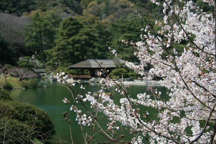 ▲四國賞櫻勝地－栗林公園。　圖：喜鴻假期／提供