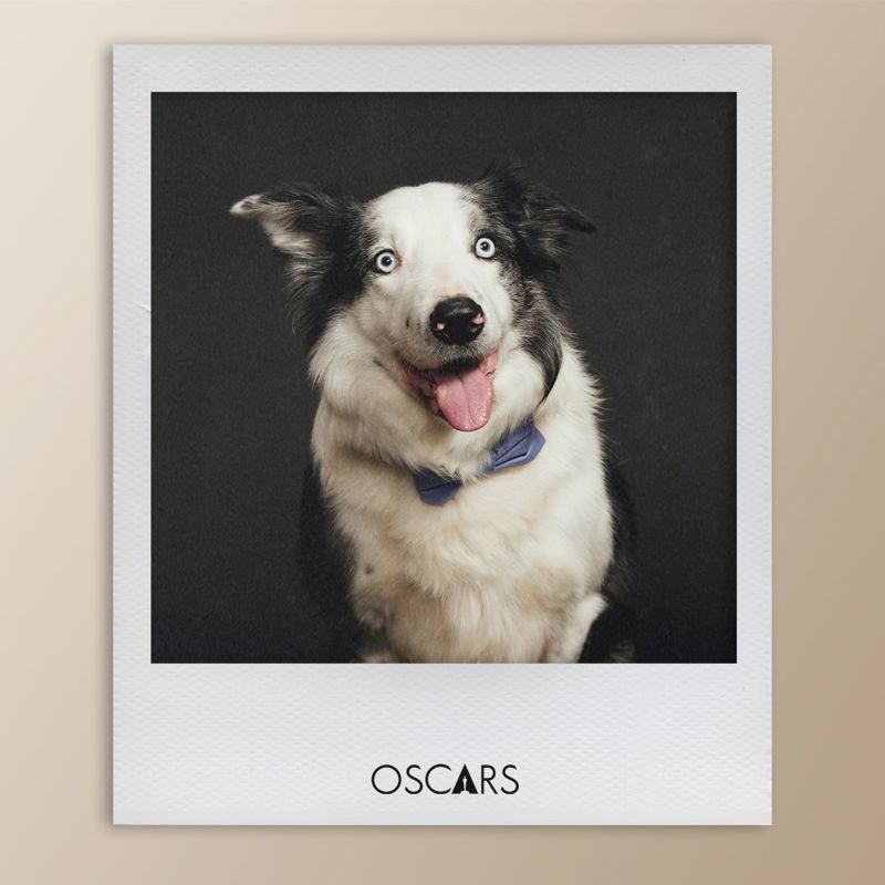 梅西在《墜惡真相》中的演出獲得坎城影展的狗狗金棕櫚，他也隨著劇組出席了今年的奧斯卡盛會。（翻攝自X）