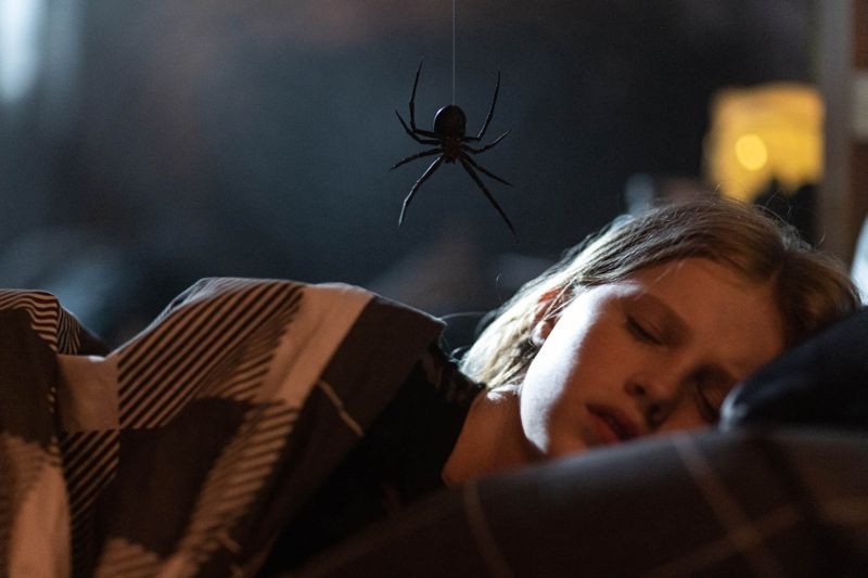 澳洲導演齊亞羅區透納的《蜘蛛驚》讓觀眾拋開超級英雄蜘蛛人的美好想像 。（ 金馬執委會提供）