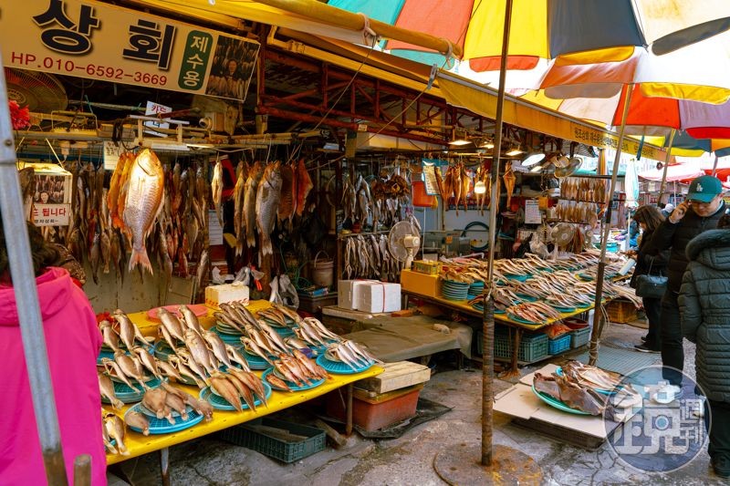 釜山的札嘎其是韓國規模數一數二的海鮮市場，各種魚貨琳瑯滿目。