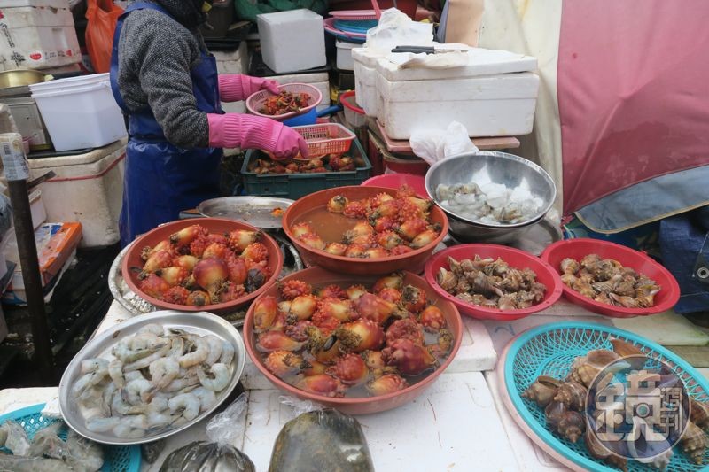 釜山常見的海鞘拌飯，用的就是這種紅色海螺的肉。